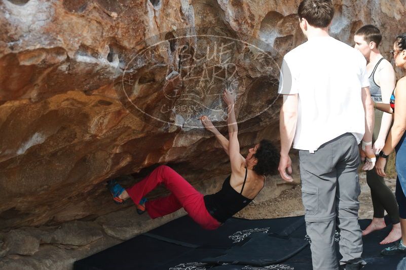 Bouldering in Hueco Tanks on 02/17/2020 with Blue Lizard Climbing and Yoga

Filename: SRM_20200217_1518580.jpg
Aperture: f/4.5
Shutter Speed: 1/400
Body: Canon EOS-1D Mark II
Lens: Canon EF 50mm f/1.8 II