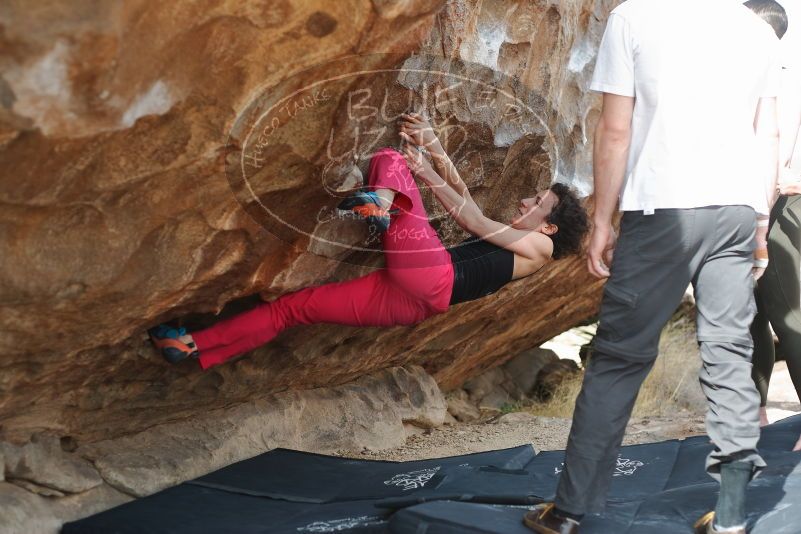 Bouldering in Hueco Tanks on 02/17/2020 with Blue Lizard Climbing and Yoga

Filename: SRM_20200217_1519460.jpg
Aperture: f/3.2
Shutter Speed: 1/400
Body: Canon EOS-1D Mark II
Lens: Canon EF 50mm f/1.8 II