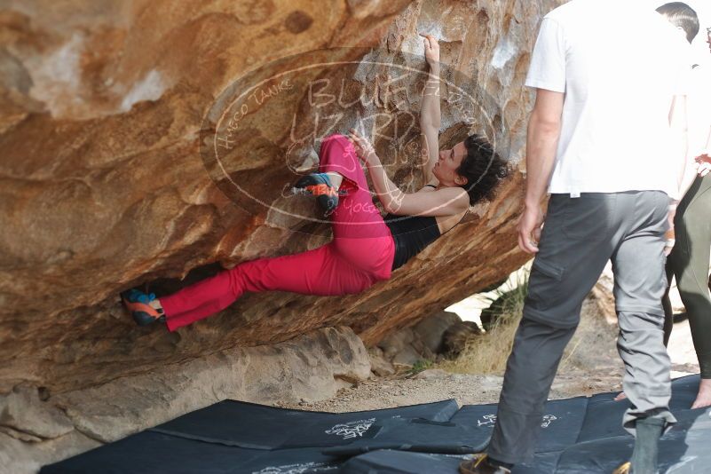 Bouldering in Hueco Tanks on 02/17/2020 with Blue Lizard Climbing and Yoga
Filename: SRM_20200217_1519480.jpg
Aperture: f/3.2
Shutter Speed: 1/400
Body: Canon EOS-1D Mark II
Lens: Canon EF 50mm f/1.8 II
