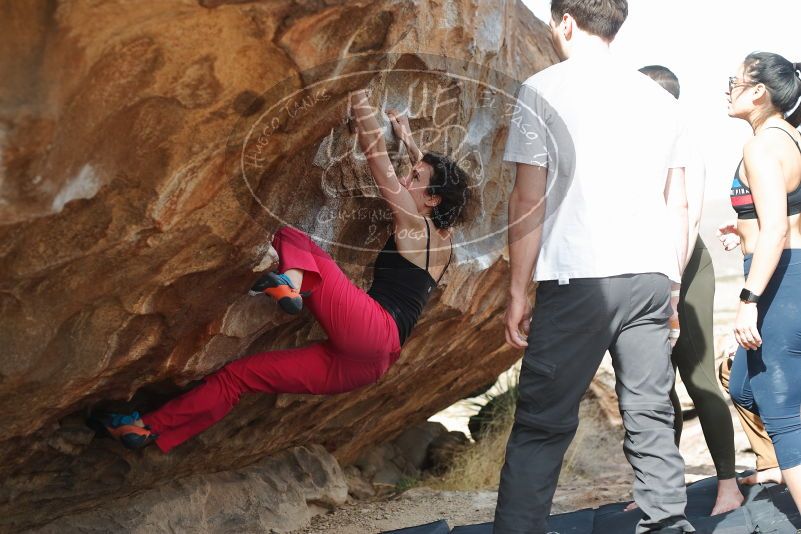 Bouldering in Hueco Tanks on 02/17/2020 with Blue Lizard Climbing and Yoga

Filename: SRM_20200217_1519520.jpg
Aperture: f/3.5
Shutter Speed: 1/400
Body: Canon EOS-1D Mark II
Lens: Canon EF 50mm f/1.8 II