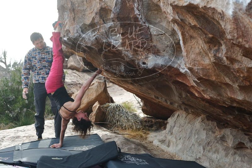 Bouldering in Hueco Tanks on 02/17/2020 with Blue Lizard Climbing and Yoga
Filename: SRM_20200217_1531400.jpg
Aperture: f/5.6
Shutter Speed: 1/250
Body: Canon EOS-1D Mark II
Lens: Canon EF 50mm f/1.8 II