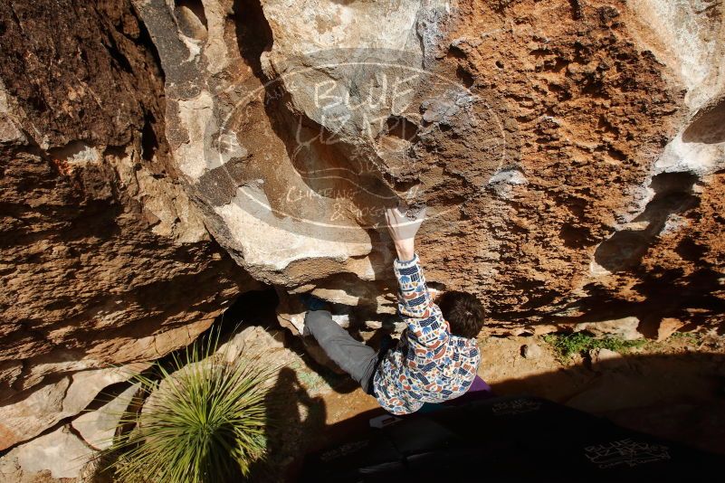 Bouldering in Hueco Tanks on 02/17/2020 with Blue Lizard Climbing and Yoga
Filename: SRM_20200217_1609540.jpg
Aperture: f/8.0
Shutter Speed: 1/500
Body: Canon EOS-1D Mark II
Lens: Canon EF 16-35mm f/2.8 L