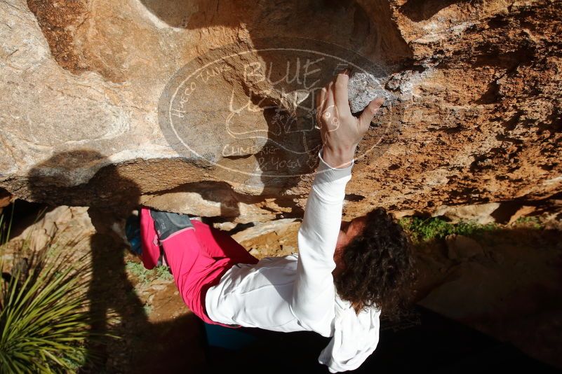 Bouldering in Hueco Tanks on 02/17/2020 with Blue Lizard Climbing and Yoga

Filename: SRM_20200217_1615340.jpg
Aperture: f/9.0
Shutter Speed: 1/500
Body: Canon EOS-1D Mark II
Lens: Canon EF 16-35mm f/2.8 L
