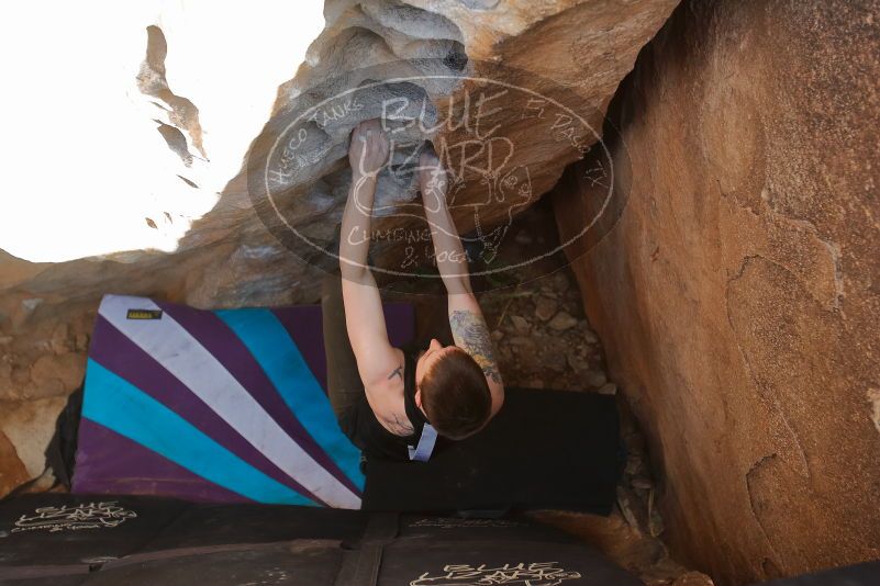 Bouldering in Hueco Tanks on 02/17/2020 with Blue Lizard Climbing and Yoga

Filename: SRM_20200217_1633550.jpg
Aperture: f/3.5
Shutter Speed: 1/320
Body: Canon EOS-1D Mark II
Lens: Canon EF 16-35mm f/2.8 L