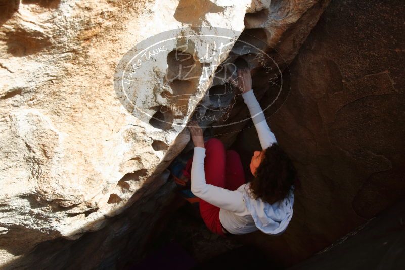 Bouldering in Hueco Tanks on 02/17/2020 with Blue Lizard Climbing and Yoga
Filename: SRM_20200217_1636070.jpg
Aperture: f/6.3
Shutter Speed: 1/320
Body: Canon EOS-1D Mark II
Lens: Canon EF 16-35mm f/2.8 L