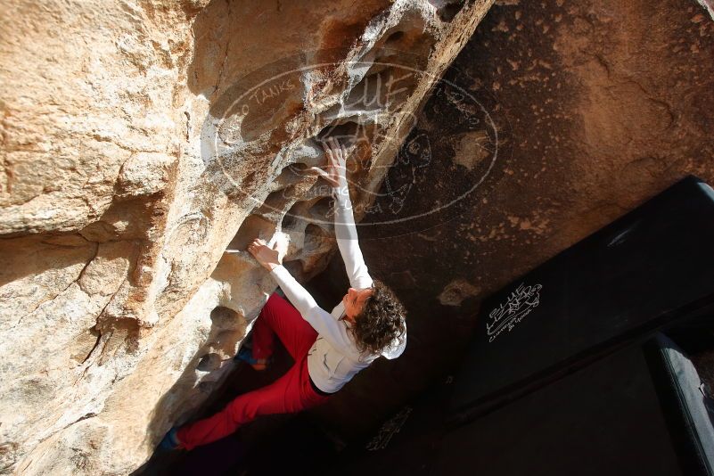 Bouldering in Hueco Tanks on 02/17/2020 with Blue Lizard Climbing and Yoga

Filename: SRM_20200217_1636260.jpg
Aperture: f/6.3
Shutter Speed: 1/320
Body: Canon EOS-1D Mark II
Lens: Canon EF 16-35mm f/2.8 L