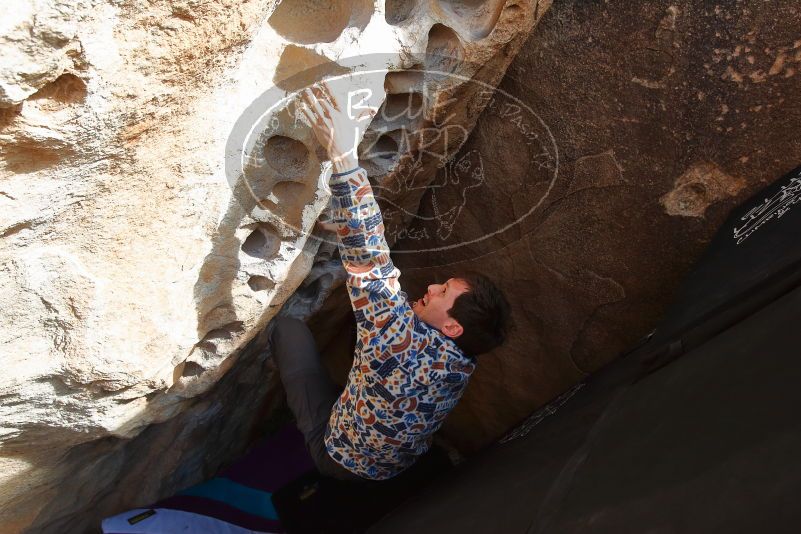 Bouldering in Hueco Tanks on 02/17/2020 with Blue Lizard Climbing and Yoga
Filename: SRM_20200217_1639161.jpg
Aperture: f/5.6
Shutter Speed: 1/250
Body: Canon EOS-1D Mark II
Lens: Canon EF 16-35mm f/2.8 L