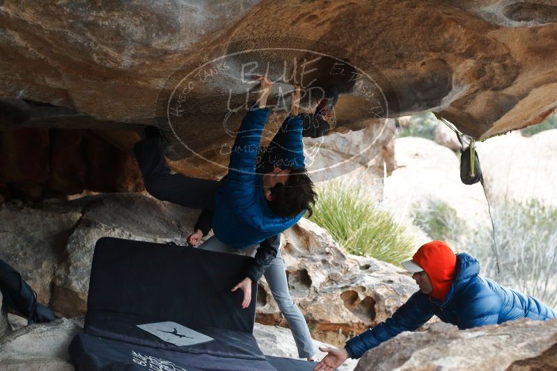 Bouldering in Hueco Tanks on 02/21/2020 with Blue Lizard Climbing and Yoga
Filename: SRM_20200221_1028420.jpg
Aperture: f/4.5
Shutter Speed: 1/250
Body: Canon EOS-1D Mark II
Lens: Canon EF 50mm f/1.8 II