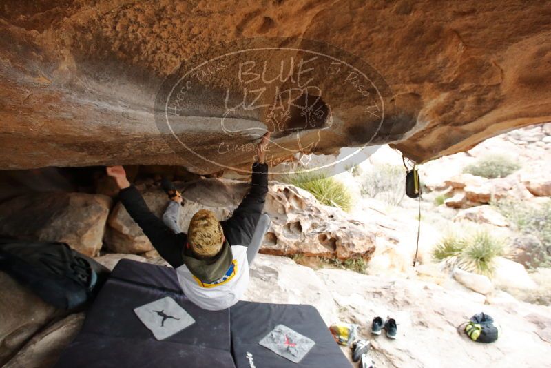 Bouldering in Hueco Tanks on 02/21/2020 with Blue Lizard Climbing and Yoga
Filename: SRM_20200221_1058260.jpg
Aperture: f/5.6
Shutter Speed: 1/250
Body: Canon EOS-1D Mark II
Lens: Canon EF 16-35mm f/2.8 L
