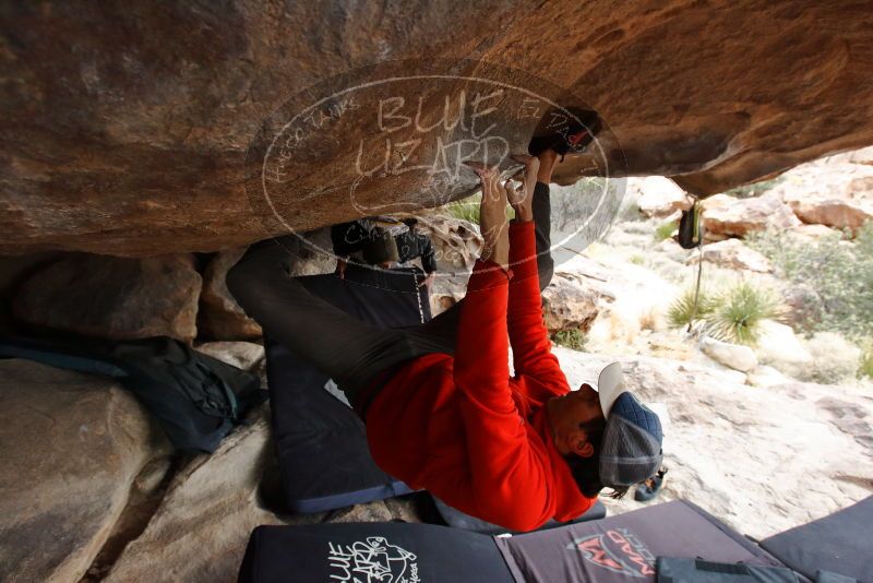 Bouldering in Hueco Tanks on 02/21/2020 with Blue Lizard Climbing and Yoga

Filename: SRM_20200221_1119150.jpg
Aperture: f/5.6
Shutter Speed: 1/250
Body: Canon EOS-1D Mark II
Lens: Canon EF 16-35mm f/2.8 L