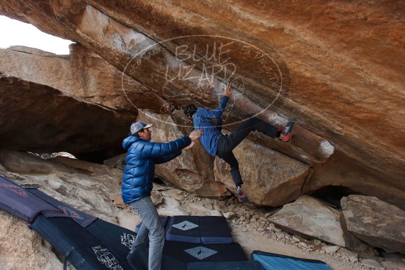 Bouldering in Hueco Tanks on 02/21/2020 with Blue Lizard Climbing and Yoga
Filename: SRM_20200221_1144040.jpg
Aperture: f/4.5
Shutter Speed: 1/250
Body: Canon EOS-1D Mark II
Lens: Canon EF 16-35mm f/2.8 L