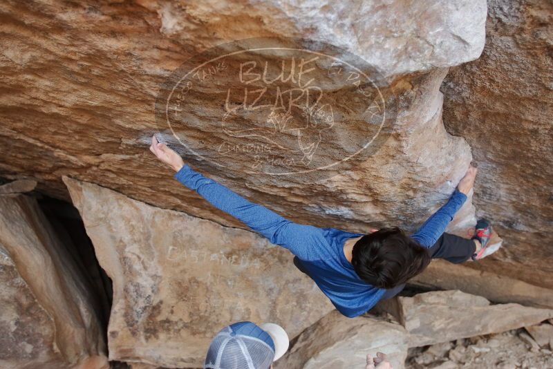 Bouldering in Hueco Tanks on 02/21/2020 with Blue Lizard Climbing and Yoga
Filename: SRM_20200221_1155570.jpg
Aperture: f/3.2
Shutter Speed: 1/250
Body: Canon EOS-1D Mark II
Lens: Canon EF 16-35mm f/2.8 L