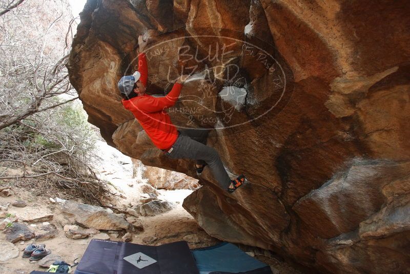 Bouldering in Hueco Tanks on 02/21/2020 with Blue Lizard Climbing and Yoga
Filename: SRM_20200221_1423510.jpg
Aperture: f/4.5
Shutter Speed: 1/250
Body: Canon EOS-1D Mark II
Lens: Canon EF 16-35mm f/2.8 L