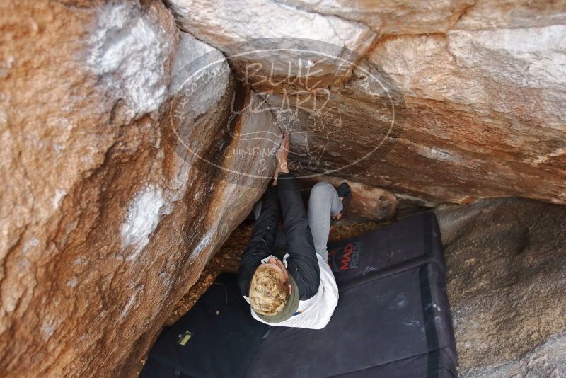 Bouldering in Hueco Tanks on 02/21/2020 with Blue Lizard Climbing and Yoga
Filename: SRM_20200221_1556200.jpg
Aperture: f/3.5
Shutter Speed: 1/250
Body: Canon EOS-1D Mark II
Lens: Canon EF 16-35mm f/2.8 L