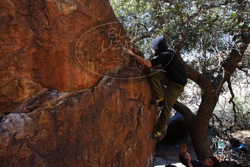 Bouldering in Hueco Tanks on 02/25/2020 with Blue Lizard Climbing and Yoga

Filename: SRM_20200225_1118340.jpg
Aperture: f/9.0
Shutter Speed: 1/250
Body: Canon EOS-1D Mark II
Lens: Canon EF 16-35mm f/2.8 L