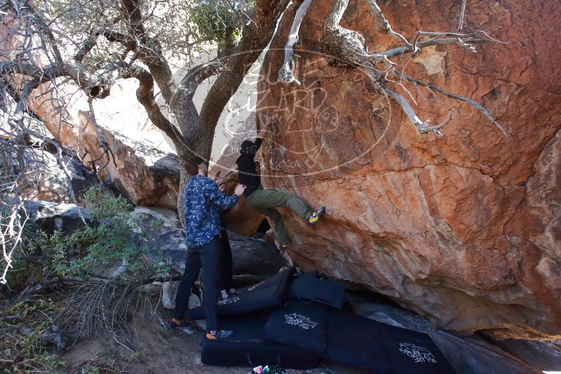 Bouldering in Hueco Tanks on 02/25/2020 with Blue Lizard Climbing and Yoga

Filename: SRM_20200225_1124240.jpg
Aperture: f/5.0
Shutter Speed: 1/250
Body: Canon EOS-1D Mark II
Lens: Canon EF 16-35mm f/2.8 L