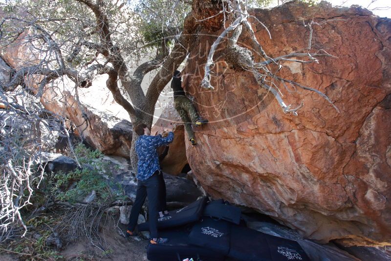 Bouldering in Hueco Tanks on 02/25/2020 with Blue Lizard Climbing and Yoga

Filename: SRM_20200225_1124300.jpg
Aperture: f/5.0
Shutter Speed: 1/250
Body: Canon EOS-1D Mark II
Lens: Canon EF 16-35mm f/2.8 L