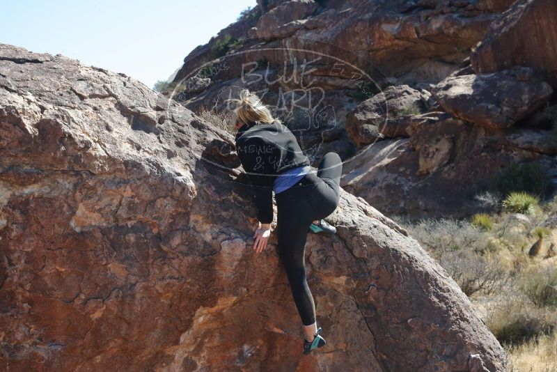 Bouldering in Hueco Tanks on 02/25/2020 with Blue Lizard Climbing and Yoga

Filename: SRM_20200225_1203310.jpg
Aperture: f/10.0
Shutter Speed: 1/250
Body: Canon EOS-1D Mark II
Lens: Canon EF 50mm f/1.8 II