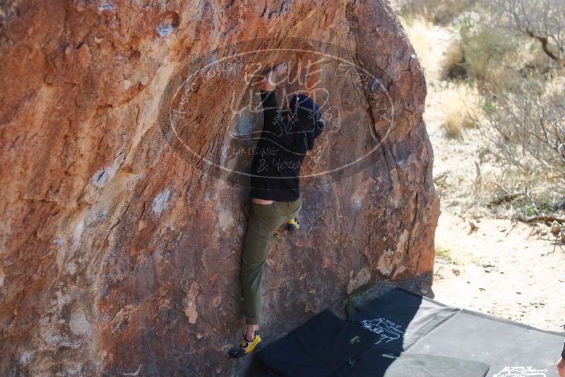 Bouldering in Hueco Tanks on 02/25/2020 with Blue Lizard Climbing and Yoga

Filename: SRM_20200225_1205550.jpg
Aperture: f/2.8
Shutter Speed: 1/400
Body: Canon EOS-1D Mark II
Lens: Canon EF 50mm f/1.8 II