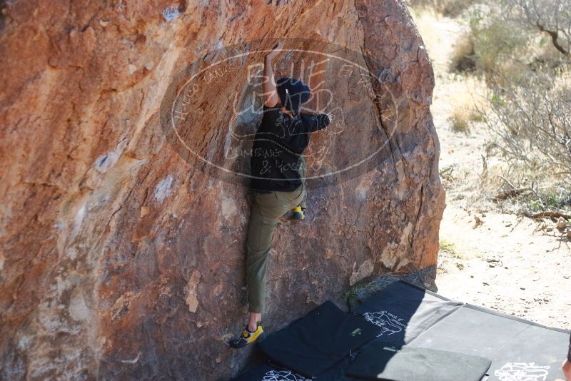 Bouldering in Hueco Tanks on 02/25/2020 with Blue Lizard Climbing and Yoga

Filename: SRM_20200225_1205580.jpg
Aperture: f/2.8
Shutter Speed: 1/400
Body: Canon EOS-1D Mark II
Lens: Canon EF 50mm f/1.8 II