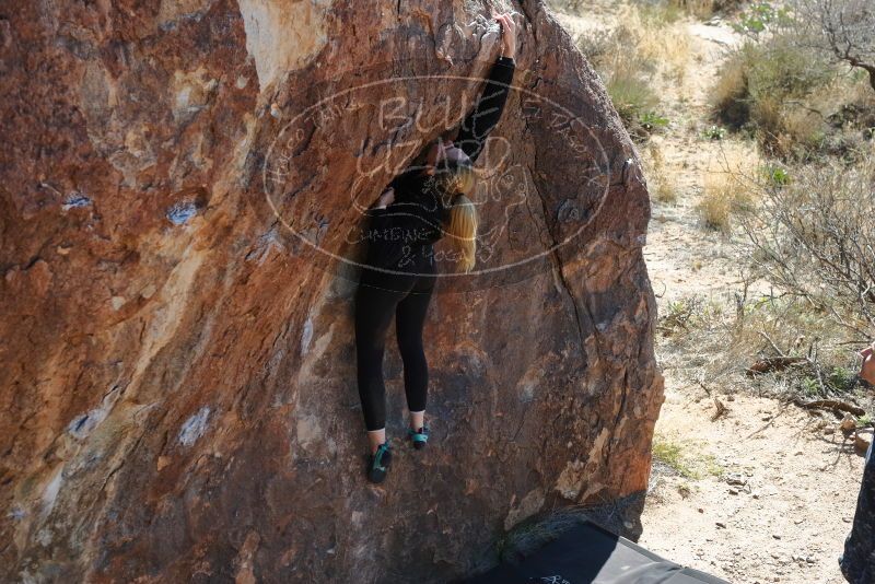 Bouldering in Hueco Tanks on 02/25/2020 with Blue Lizard Climbing and Yoga

Filename: SRM_20200225_1211200.jpg
Aperture: f/5.0
Shutter Speed: 1/320
Body: Canon EOS-1D Mark II
Lens: Canon EF 50mm f/1.8 II
