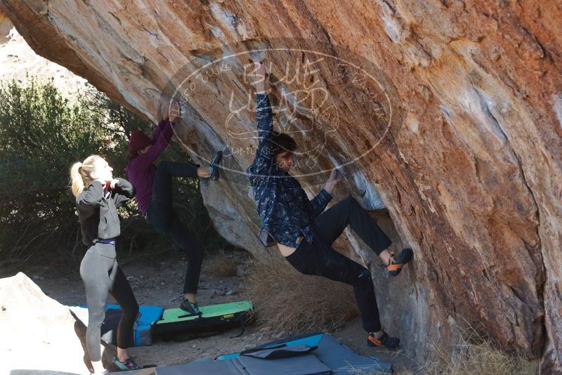 Bouldering in Hueco Tanks on 02/25/2020 with Blue Lizard Climbing and Yoga
Filename: SRM_20200225_1215230.jpg
Aperture: f/4.5
Shutter Speed: 1/320
Body: Canon EOS-1D Mark II
Lens: Canon EF 50mm f/1.8 II