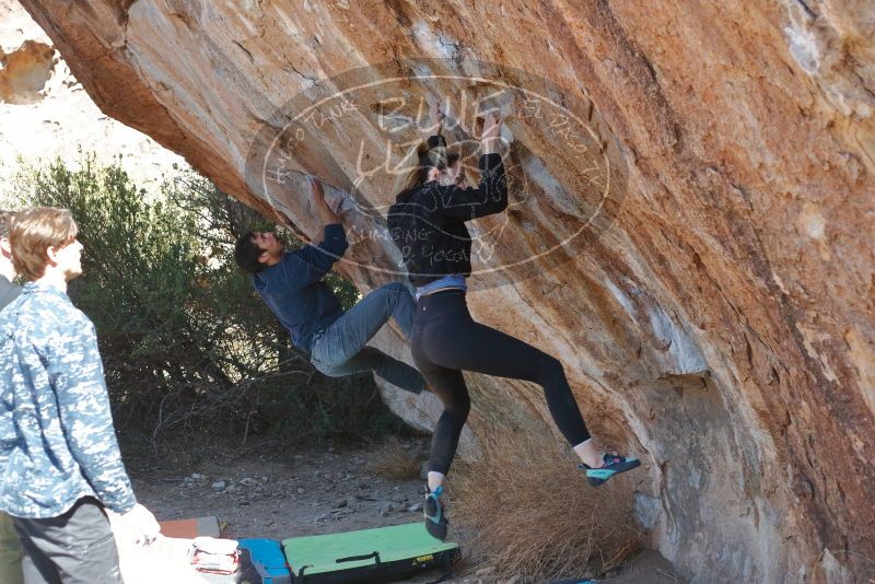 Bouldering in Hueco Tanks on 02/25/2020 with Blue Lizard Climbing and Yoga

Filename: SRM_20200225_1217450.jpg
Aperture: f/4.0
Shutter Speed: 1/320
Body: Canon EOS-1D Mark II
Lens: Canon EF 50mm f/1.8 II