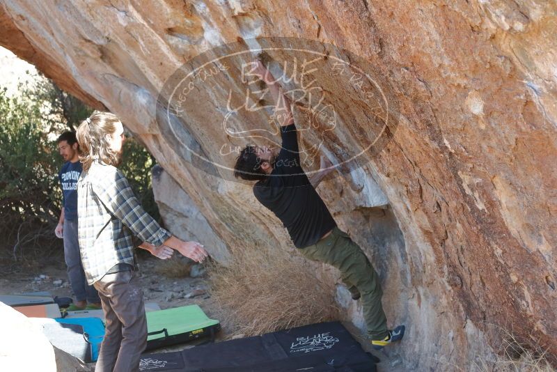 Bouldering in Hueco Tanks on 02/25/2020 with Blue Lizard Climbing and Yoga

Filename: SRM_20200225_1221490.jpg
Aperture: f/3.5
Shutter Speed: 1/320
Body: Canon EOS-1D Mark II
Lens: Canon EF 50mm f/1.8 II