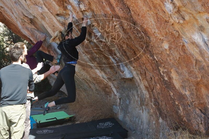 Bouldering in Hueco Tanks on 02/25/2020 with Blue Lizard Climbing and Yoga

Filename: SRM_20200225_1226360.jpg
Aperture: f/4.5
Shutter Speed: 1/320
Body: Canon EOS-1D Mark II
Lens: Canon EF 50mm f/1.8 II