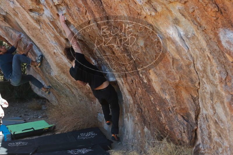 Bouldering in Hueco Tanks on 02/25/2020 with Blue Lizard Climbing and Yoga
Filename: SRM_20200225_1227500.jpg
Aperture: f/4.5
Shutter Speed: 1/320
Body: Canon EOS-1D Mark II
Lens: Canon EF 50mm f/1.8 II