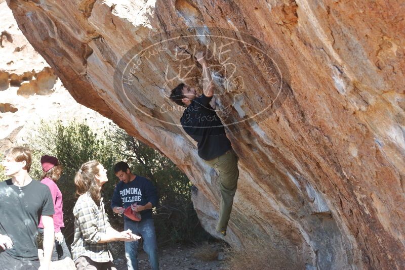 Bouldering in Hueco Tanks on 02/25/2020 with Blue Lizard Climbing and Yoga

Filename: SRM_20200225_1229150.jpg
Aperture: f/4.5
Shutter Speed: 1/320
Body: Canon EOS-1D Mark II
Lens: Canon EF 50mm f/1.8 II