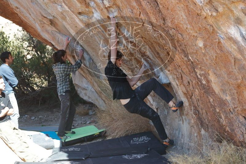 Bouldering in Hueco Tanks on 02/25/2020 with Blue Lizard Climbing and Yoga

Filename: SRM_20200225_1233060.jpg
Aperture: f/4.0
Shutter Speed: 1/320
Body: Canon EOS-1D Mark II
Lens: Canon EF 50mm f/1.8 II