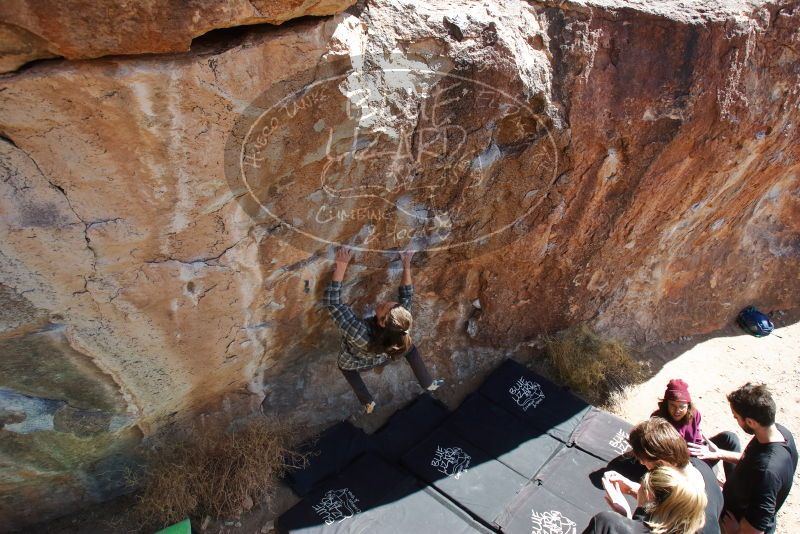 Bouldering in Hueco Tanks on 02/25/2020 with Blue Lizard Climbing and Yoga

Filename: SRM_20200225_1304150.jpg
Aperture: f/5.6
Shutter Speed: 1/400
Body: Canon EOS-1D Mark II
Lens: Canon EF 16-35mm f/2.8 L
