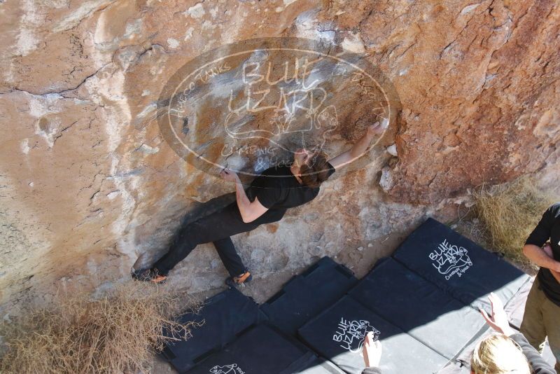 Bouldering in Hueco Tanks on 02/25/2020 with Blue Lizard Climbing and Yoga

Filename: SRM_20200225_1306080.jpg
Aperture: f/4.0
Shutter Speed: 1/400
Body: Canon EOS-1D Mark II
Lens: Canon EF 16-35mm f/2.8 L