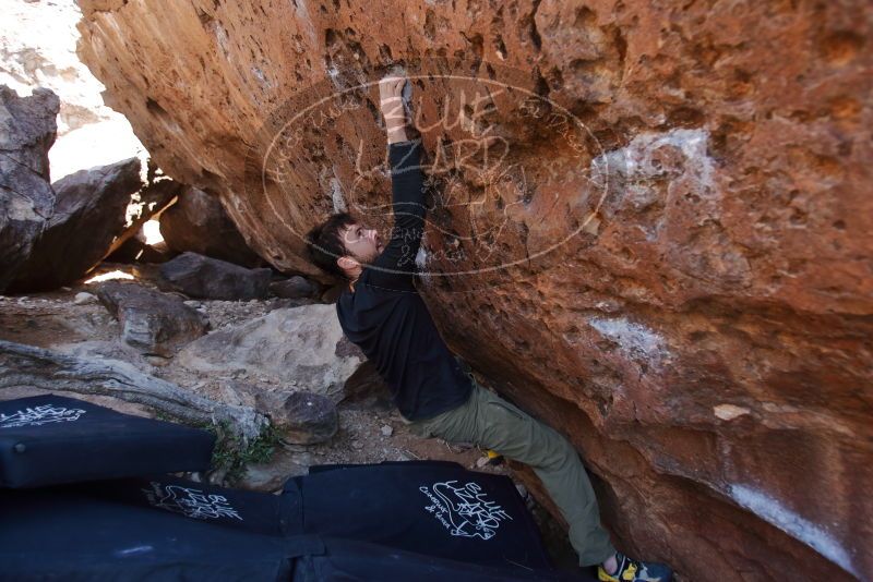 Bouldering in Hueco Tanks on 02/25/2020 with Blue Lizard Climbing and Yoga
Filename: SRM_20200225_1353160.jpg
Aperture: f/2.8
Shutter Speed: 1/250
Body: Canon EOS-1D Mark II
Lens: Canon EF 16-35mm f/2.8 L
