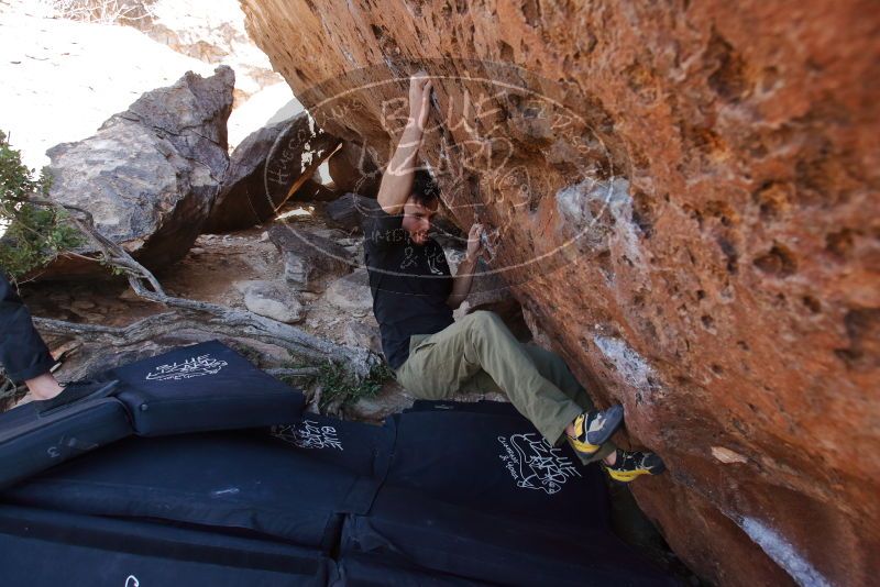 Bouldering in Hueco Tanks on 02/25/2020 with Blue Lizard Climbing and Yoga
Filename: SRM_20200225_1400230.jpg
Aperture: f/5.0
Shutter Speed: 1/250
Body: Canon EOS-1D Mark II
Lens: Canon EF 16-35mm f/2.8 L