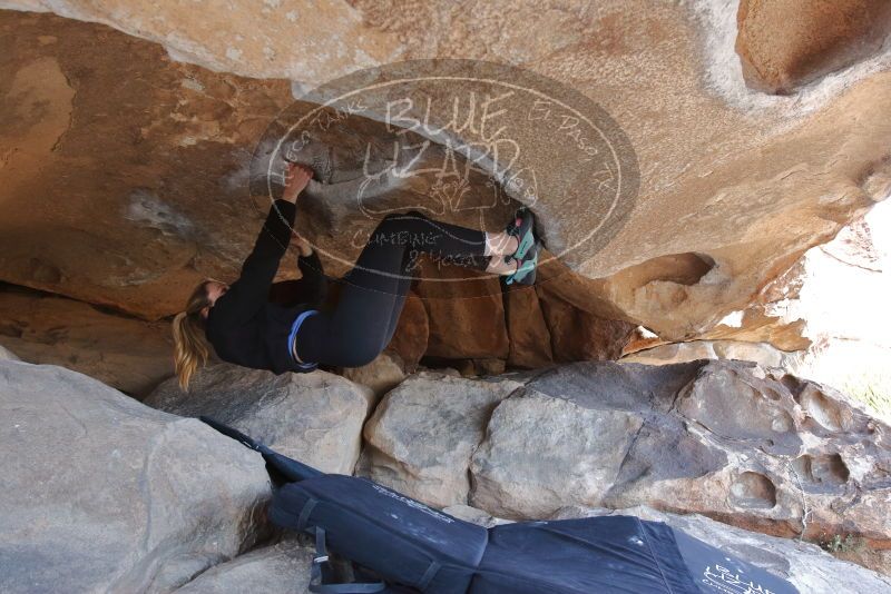 Bouldering in Hueco Tanks on 02/25/2020 with Blue Lizard Climbing and Yoga

Filename: SRM_20200225_1527300.jpg
Aperture: f/5.0
Shutter Speed: 1/250
Body: Canon EOS-1D Mark II
Lens: Canon EF 16-35mm f/2.8 L