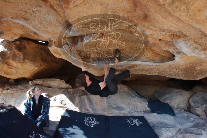 Bouldering in Hueco Tanks on 02/25/2020 with Blue Lizard Climbing and Yoga

Filename: SRM_20200225_1538470.jpg
Aperture: f/7.1
Shutter Speed: 1/250
Body: Canon EOS-1D Mark II
Lens: Canon EF 16-35mm f/2.8 L