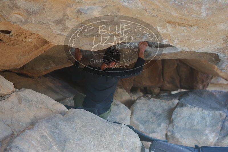 

Filename: SRM_20200225_1628000.jpg
Aperture: f/3.2
Shutter Speed: 1/320
Body: Canon EOS-1D Mark II
Lens: Canon EF 50mm f/1.8 II