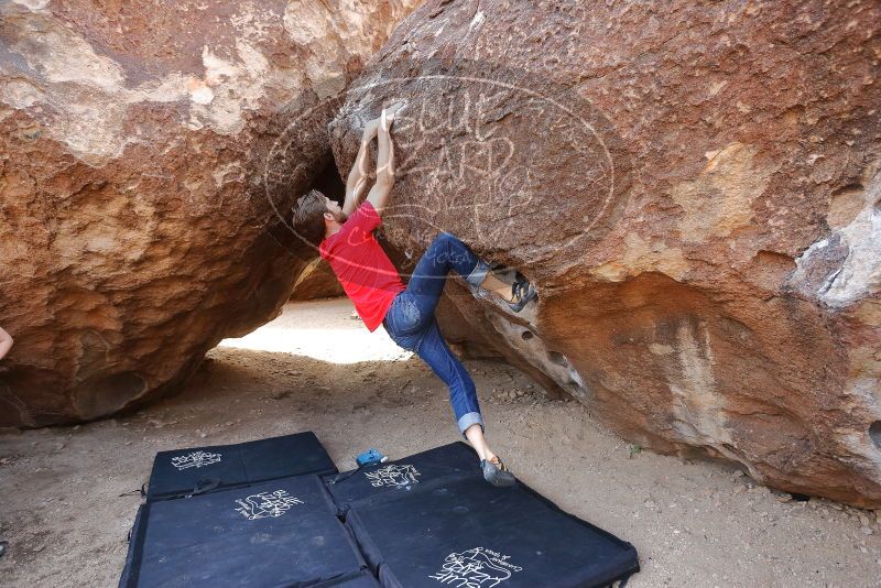 Bouldering in Hueco Tanks on 02/28/2020 with Blue Lizard Climbing and Yoga
Filename: SRM_20200228_1201560.jpg
Aperture: f/3.5
Shutter Speed: 1/250
Body: Canon EOS-1D Mark II
Lens: Canon EF 16-35mm f/2.8 L