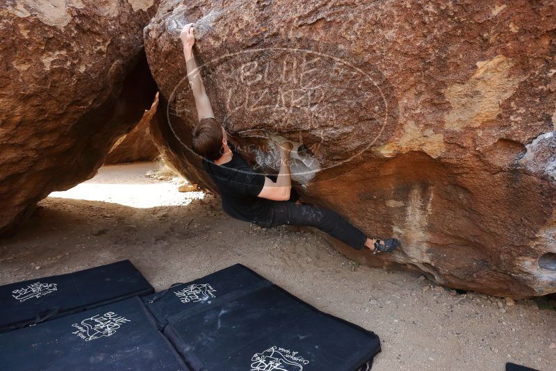 Bouldering in Hueco Tanks on 02/28/2020 with Blue Lizard Climbing and Yoga
Filename: SRM_20200228_1206210.jpg
Aperture: f/4.5
Shutter Speed: 1/250
Body: Canon EOS-1D Mark II
Lens: Canon EF 16-35mm f/2.8 L