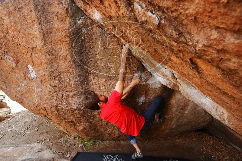 Bouldering in Hueco Tanks on 02/28/2020 with Blue Lizard Climbing and Yoga

Filename: SRM_20200228_1239390.jpg
Aperture: f/7.1
Shutter Speed: 1/250
Body: Canon EOS-1D Mark II
Lens: Canon EF 16-35mm f/2.8 L