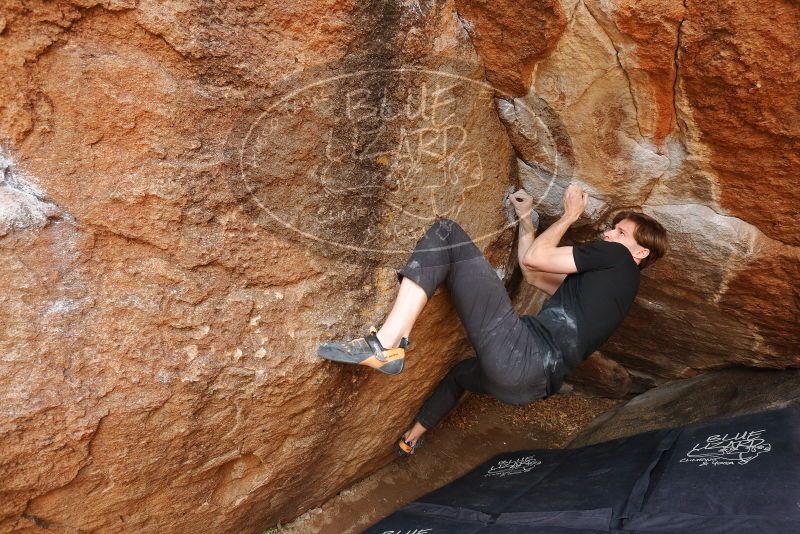 Bouldering in Hueco Tanks on 02/28/2020 with Blue Lizard Climbing and Yoga
Filename: SRM_20200228_1246570.jpg
Aperture: f/7.1
Shutter Speed: 1/250
Body: Canon EOS-1D Mark II
Lens: Canon EF 16-35mm f/2.8 L