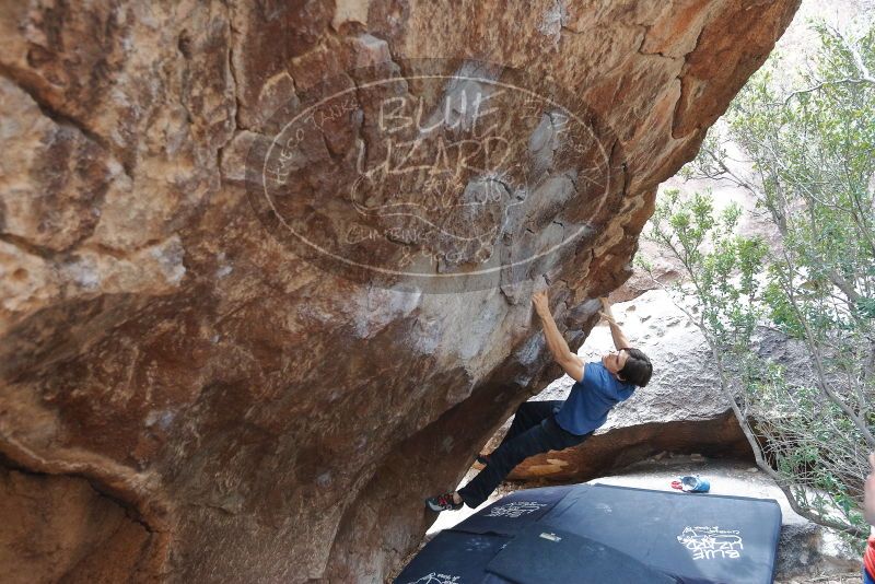 Bouldering in Hueco Tanks on 02/28/2020 with Blue Lizard Climbing and Yoga

Filename: SRM_20200228_1308120.jpg
Aperture: f/4.0
Shutter Speed: 1/250
Body: Canon EOS-1D Mark II
Lens: Canon EF 16-35mm f/2.8 L