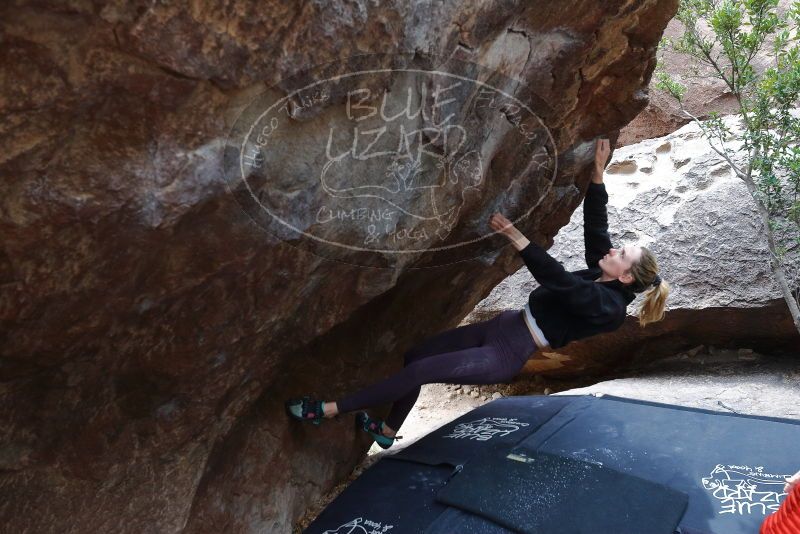 Bouldering in Hueco Tanks on 02/28/2020 with Blue Lizard Climbing and Yoga

Filename: SRM_20200228_1312370.jpg
Aperture: f/5.0
Shutter Speed: 1/250
Body: Canon EOS-1D Mark II
Lens: Canon EF 16-35mm f/2.8 L