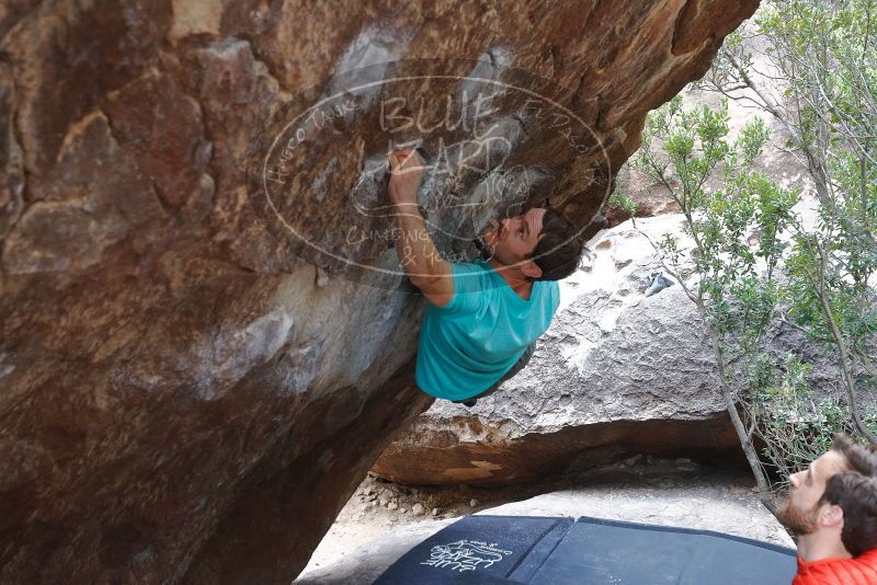 Bouldering in Hueco Tanks on 02/28/2020 with Blue Lizard Climbing and Yoga

Filename: SRM_20200228_1326090.jpg
Aperture: f/5.0
Shutter Speed: 1/250
Body: Canon EOS-1D Mark II
Lens: Canon EF 16-35mm f/2.8 L