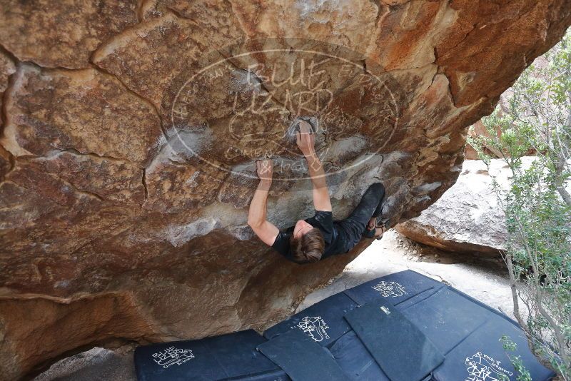 Bouldering in Hueco Tanks on 02/28/2020 with Blue Lizard Climbing and Yoga

Filename: SRM_20200228_1327080.jpg
Aperture: f/4.0
Shutter Speed: 1/250
Body: Canon EOS-1D Mark II
Lens: Canon EF 16-35mm f/2.8 L