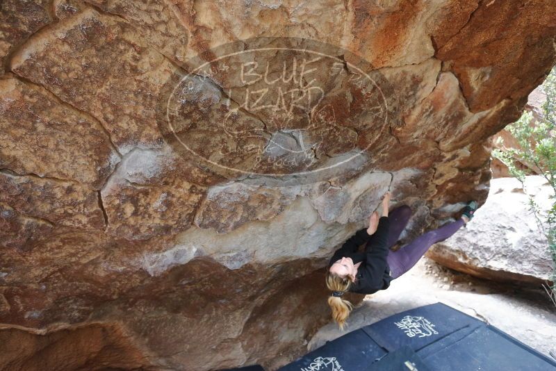 Bouldering in Hueco Tanks on 02/28/2020 with Blue Lizard Climbing and Yoga
Filename: SRM_20200228_1328250.jpg
Aperture: f/3.5
Shutter Speed: 1/250
Body: Canon EOS-1D Mark II
Lens: Canon EF 16-35mm f/2.8 L