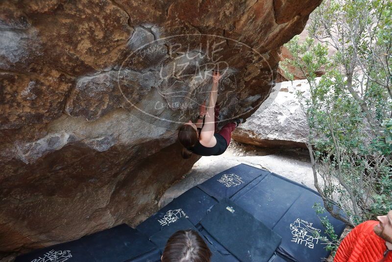 Bouldering in Hueco Tanks on 02/28/2020 with Blue Lizard Climbing and Yoga
Filename: SRM_20200228_1330230.jpg
Aperture: f/4.5
Shutter Speed: 1/250
Body: Canon EOS-1D Mark II
Lens: Canon EF 16-35mm f/2.8 L