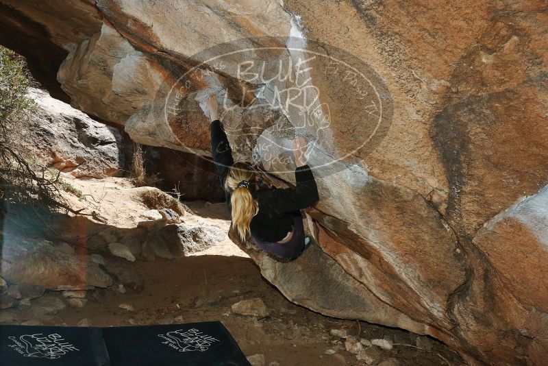 Bouldering in Hueco Tanks on 02/28/2020 with Blue Lizard Climbing and Yoga

Filename: SRM_20200228_1421300.jpg
Aperture: f/8.0
Shutter Speed: 1/250
Body: Canon EOS-1D Mark II
Lens: Canon EF 16-35mm f/2.8 L